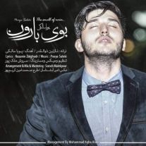 دانلود آهنگ جدید پویا سالکی به نام بوی بارون