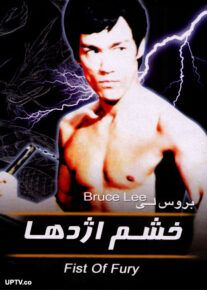 فیلم خشم اژدها