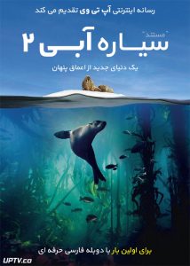 مستند 