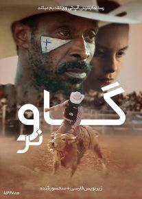دانلود فیلم Bull 2019 گاو نر با زیرنویس فارسی