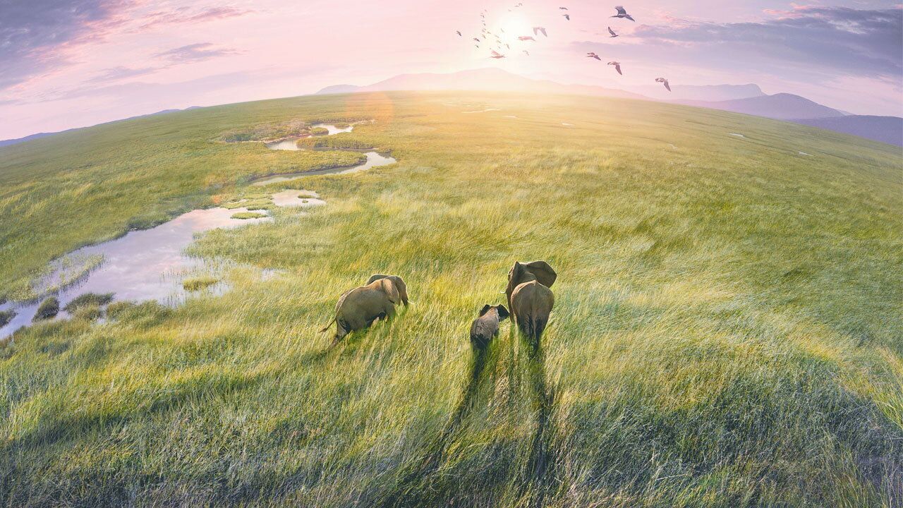 مستند سیاره زمین Planet Earth 1 2 3 با دوبله فارسی