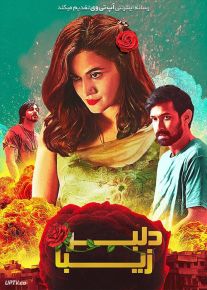 فیلم دلبر زیبا Haseen Dillruba 2021 با زیرنویس فارسی