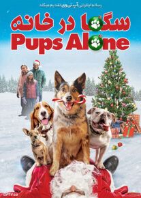 دانلود فیلم سگ ها در خانه Pups Alone 2021 با زیرنویس فارسی