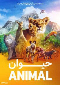  مستند حیوان Animal 2021