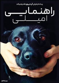 فیلم راهنمایی امیلی Guiding Emily 2023 با زیرنویس فارسی