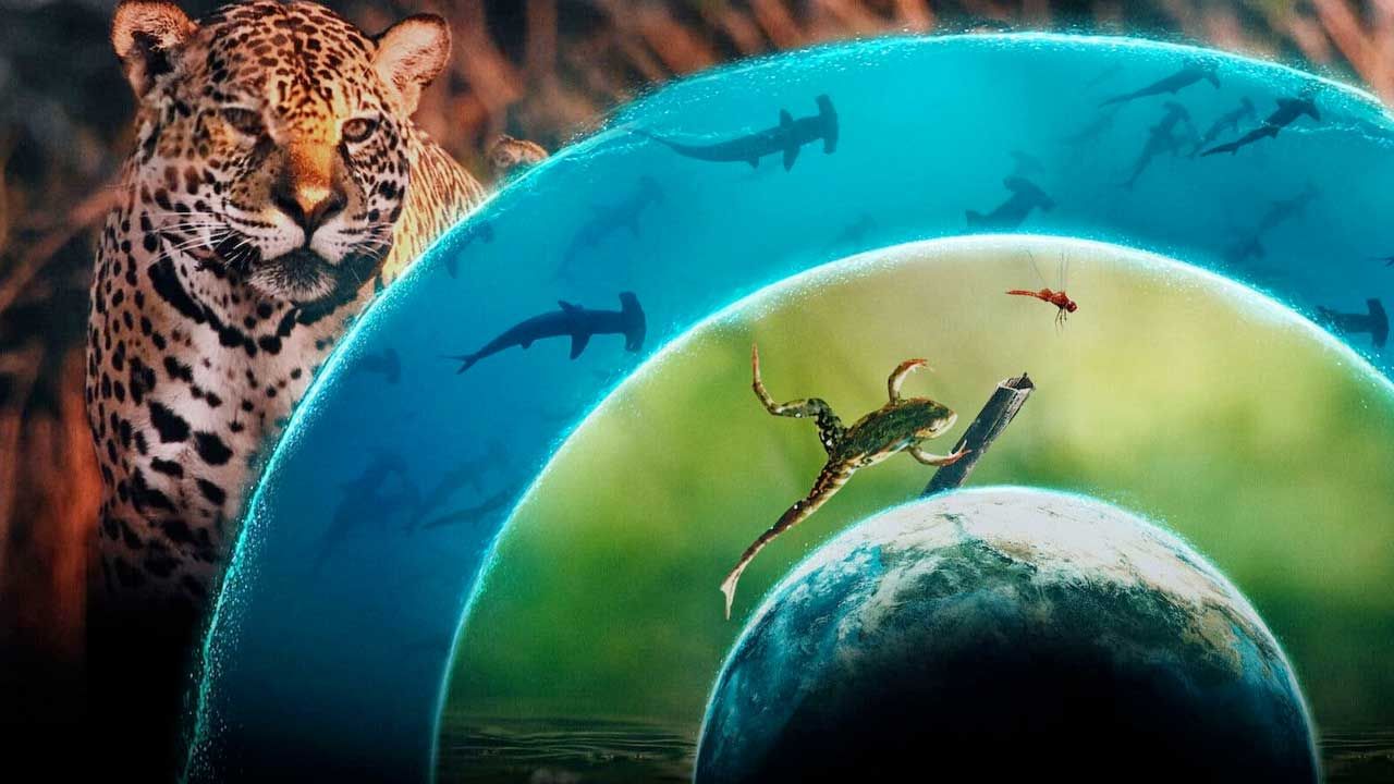 مستند دنیای زنده ما Our Living World 2024