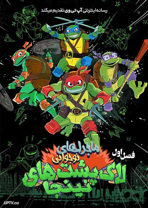انیمیشن ماجراهای نوجوانی لاک پشت های نینجا Tales of the Teenage Mutant Ninja Turtles فصل اول