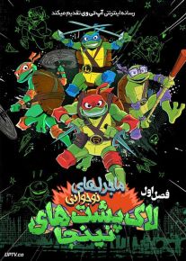 انیمیشن ماجراهای نوجوانی لاک پشت های نینجا Tales of the Teenage Mutant Ninja Turtles فصل اول