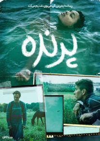 فیلم پرنده Bird 2024 با دوبله فارسی