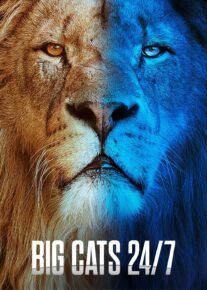  مستند شبانه روز با گربه‌سانان بزرگ Big Cats 24 7 2024 با زیرنویس فارسی