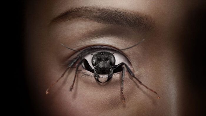 فیلم کنترل گر Control Freak 2025