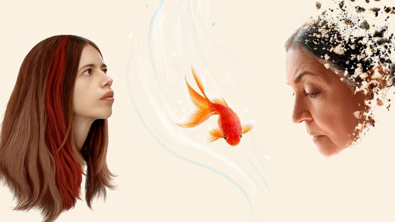 فیلم ماهی قرمز Goldfish 2023 با دوبله فارسی