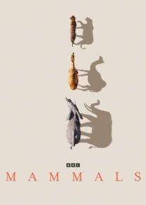  مستند پستانداران Mammals 2024 با زیرنویس فارسی