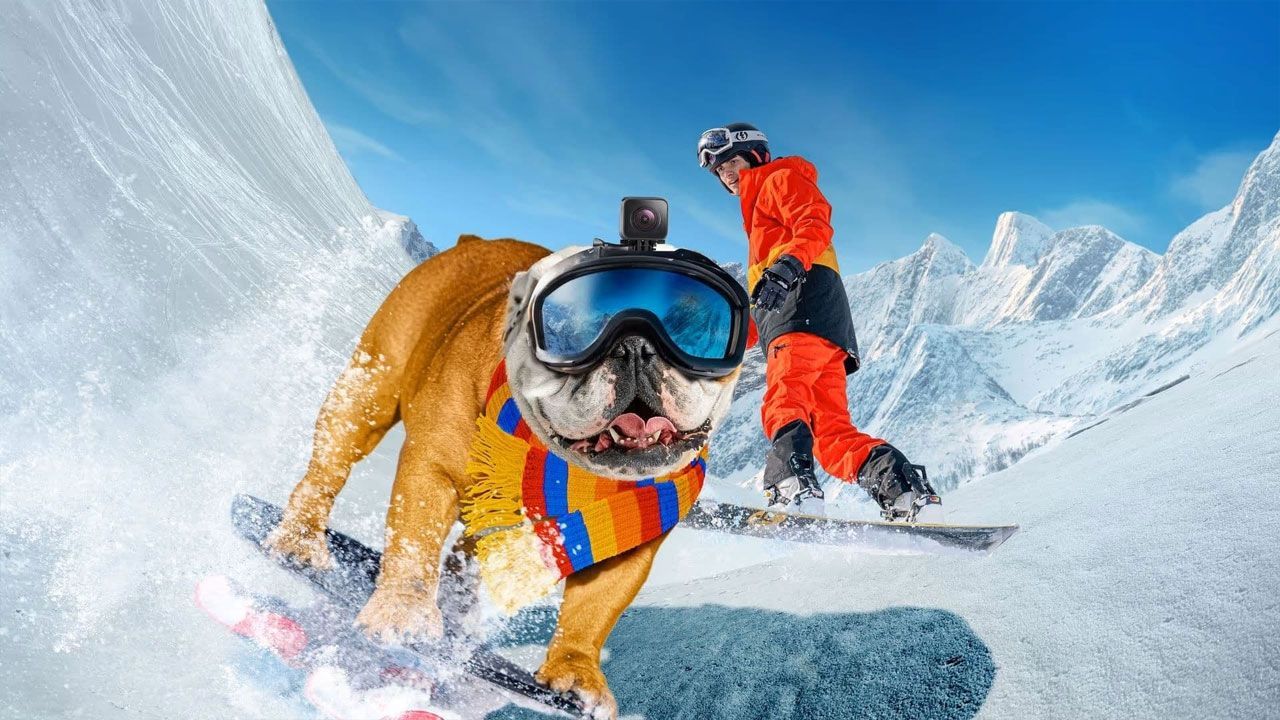 فیلم سگ اسکی باز Powder Pup 2024 با دوبله فارسی