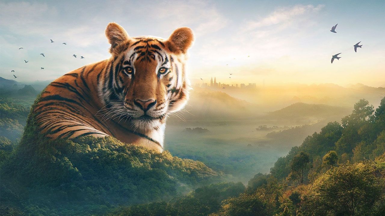 مستند آسیا Asia 2025 فصل اول