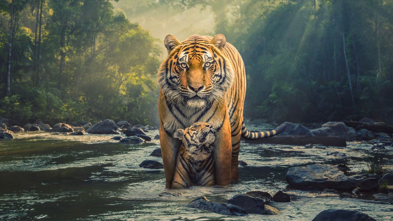 مستند وحشی ها The Wild Ones 2025 فصل اول