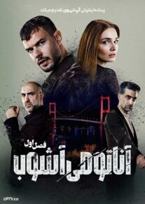 سریال آناتومی آشوب
