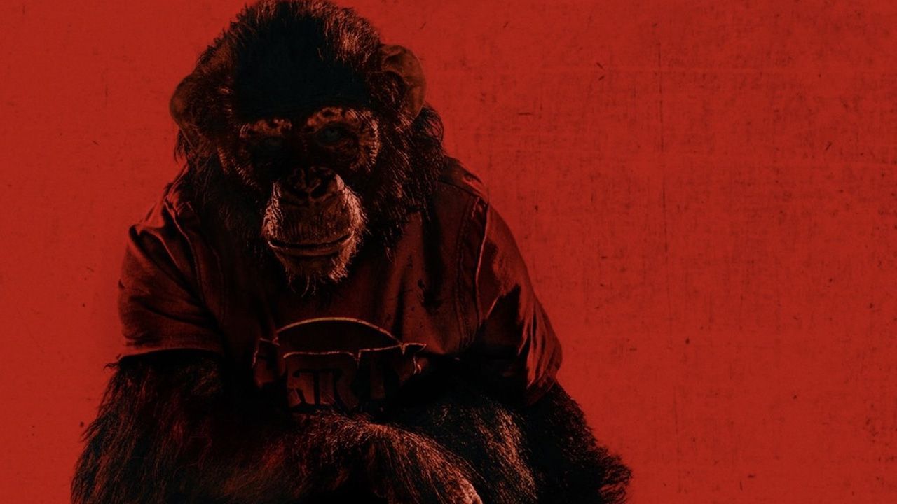 فیلم پریمات Primate 2026 زیرنویس فارسی