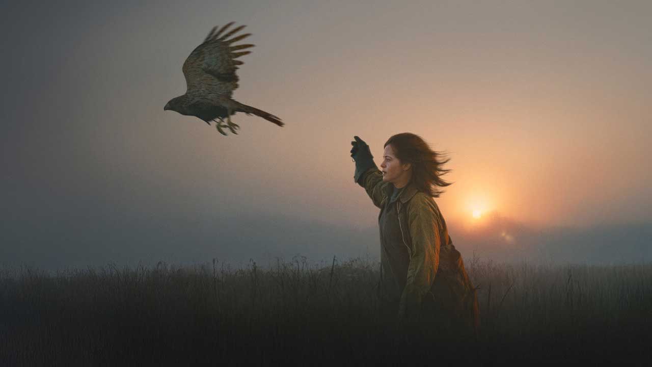 فیلم ش مثل شاهین H Is for Hawk 2025 با زیرنویس فارسی