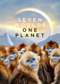 مستند هفت جهان، یک سیاره Seven Worlds One Planet 2025 فصل اول با دوبل فارسی