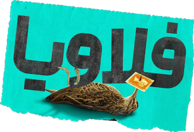 فلاویا
