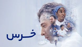 سریال خرس