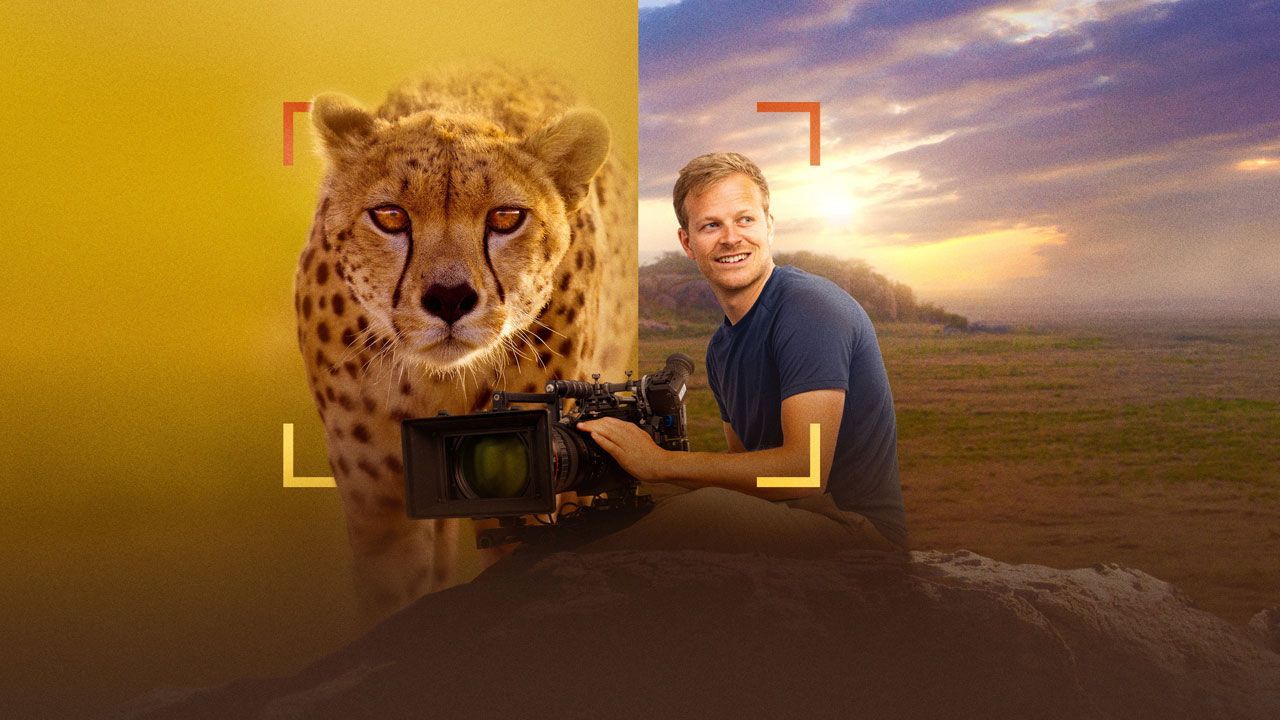 مستند یوزپلنگ ها از نزدیک Cheetahs Up Close 2026 با زیرنویس فارسی
