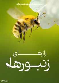 مستند رازهای زنبورها